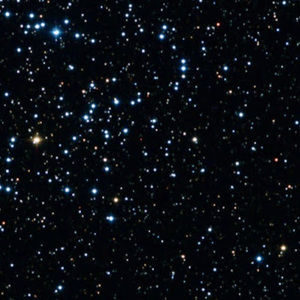 Meet your Posher, Sofia